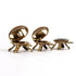 Brass Wish Tortoise with Hidden Compartment - Vastu Decor Set of 3