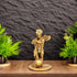 Lord Hanuman Idol for Home and Spiritual Décor