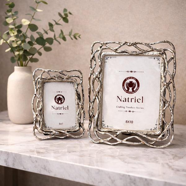 Metallic Vine Frame (Set of 2)