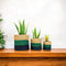 Natriel Eco-friendly Handwoven Sabai Grass Planters – Set of 3