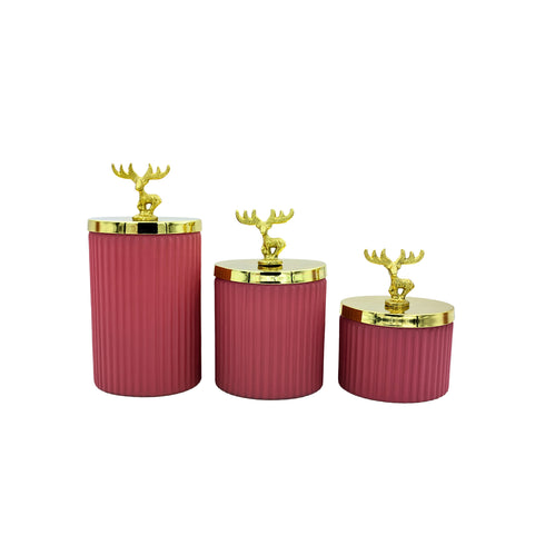 Natriel Glass Containers with Lid