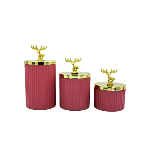 Natriel Glass Containers with Lid
