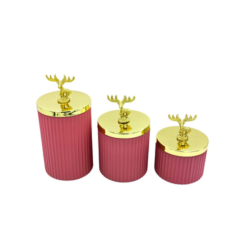 Natriel Glass Containers with Lid
