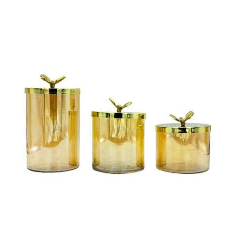 Glass Containers with Lid