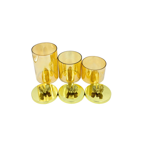 Glass Containers with Lid