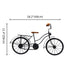 Natriel Vintage Bicycle Showpiece