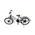 Natriel Vintage Bicycle Showpiece