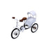 Natriel Vintage Cycle Rickshaw Showpiece