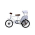 Natriel Vintage Cycle Rickshaw Showpiece