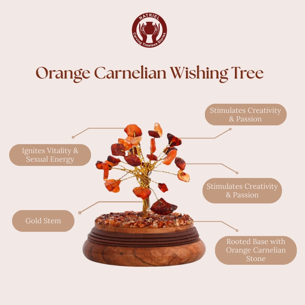 Orange Carnelian Wishing Tree with features highlighted on a beige background