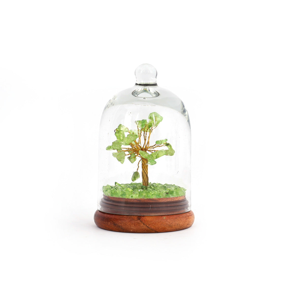 Peridot Glass Dome Wish Tree