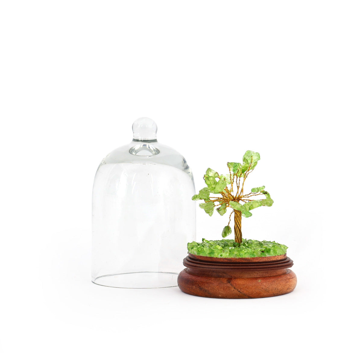 Peridot Glass Dome Wish Tree
