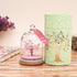 Rose Quartz Glass dome wish tree