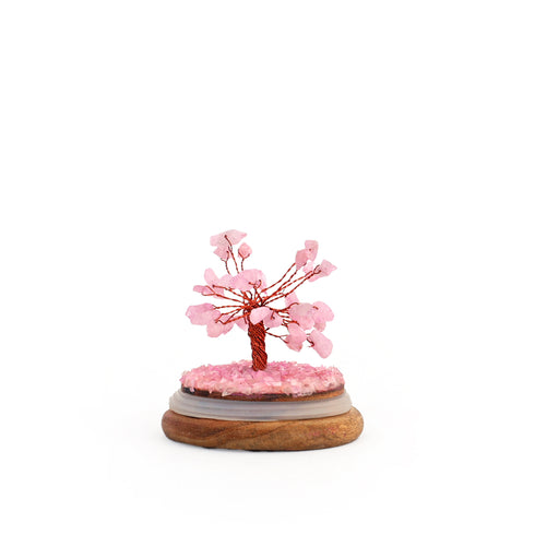 Rose Quartz Glass dome wish tree