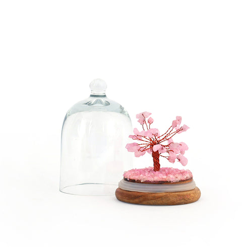 Rose Quartz Glass dome wish tree