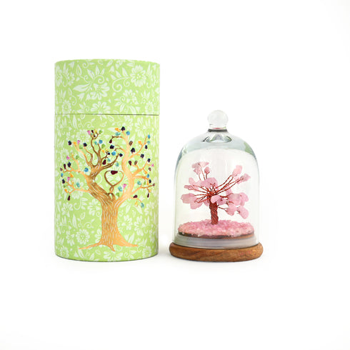 Rose Quartz Glass dome wish tree