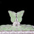 Silver Plated Butterfly Keepsake Box with Pista Green Accent