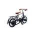Vintage Bicycle Showpiece