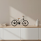 Vintage Bicycle Showpiece