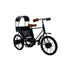 Vintage Cycle Rickshaw Showpiece