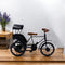 Vintage Cycle Rickshaw Showpiece