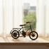 Vintage Bicycle Showpiece