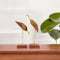 Wooden Swan Set