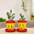 Yellow and Red Handcrafted Terracotta Planters - Set of 2 - Funky Hand Painting