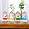 A set of four colorful mini Buddha statues, each with a different color, placed on a wooden surface with a plant in the background.