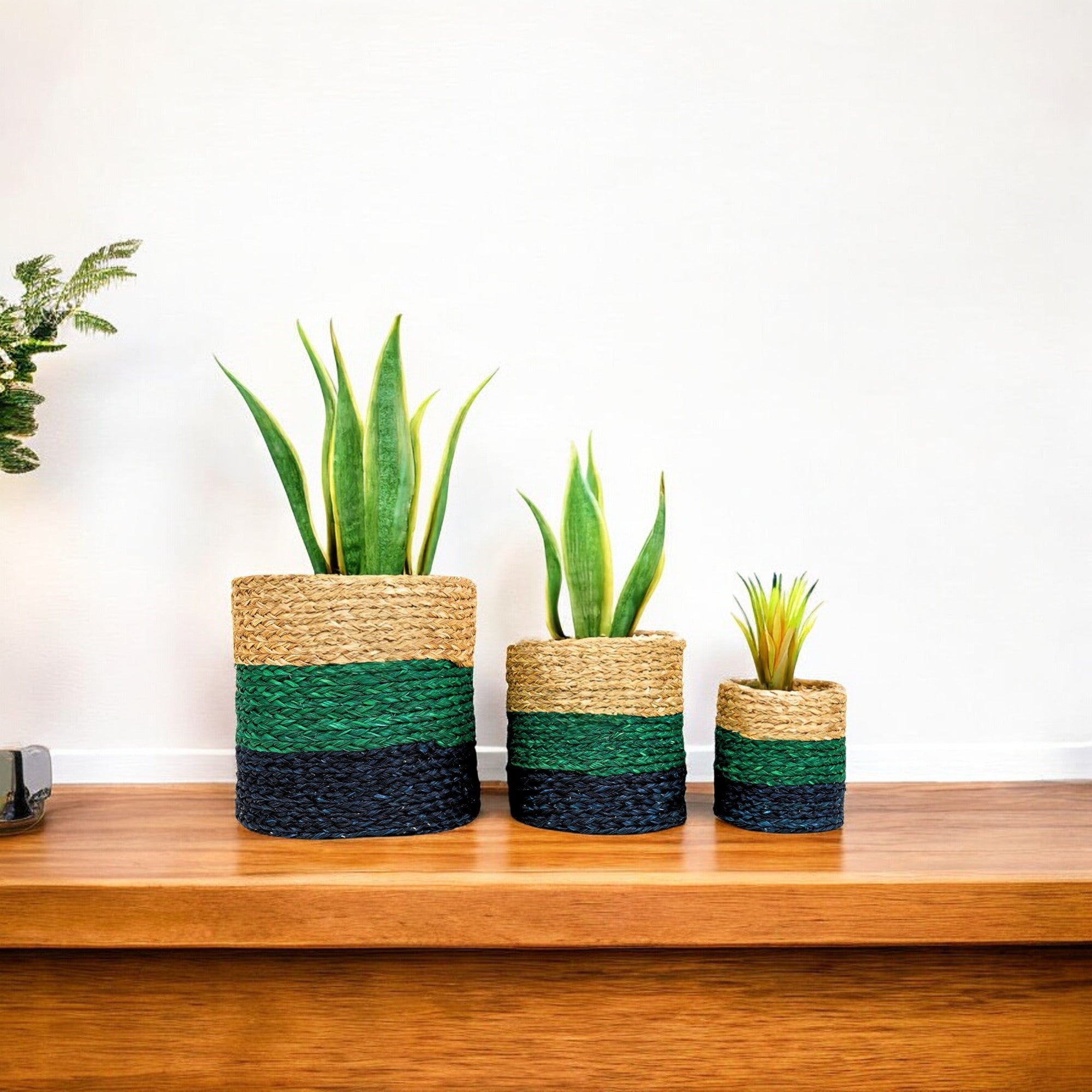 Planters