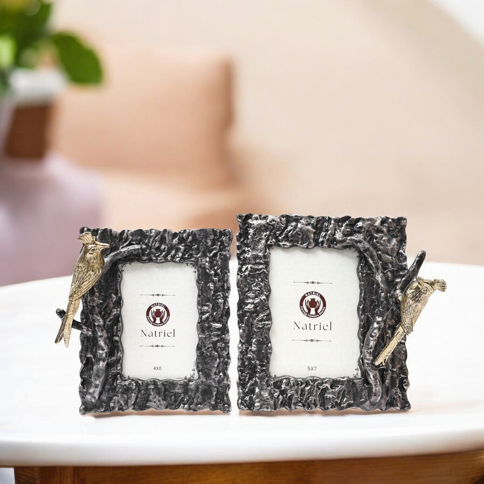 Bird on Rocky Photo frame (Set of 2)