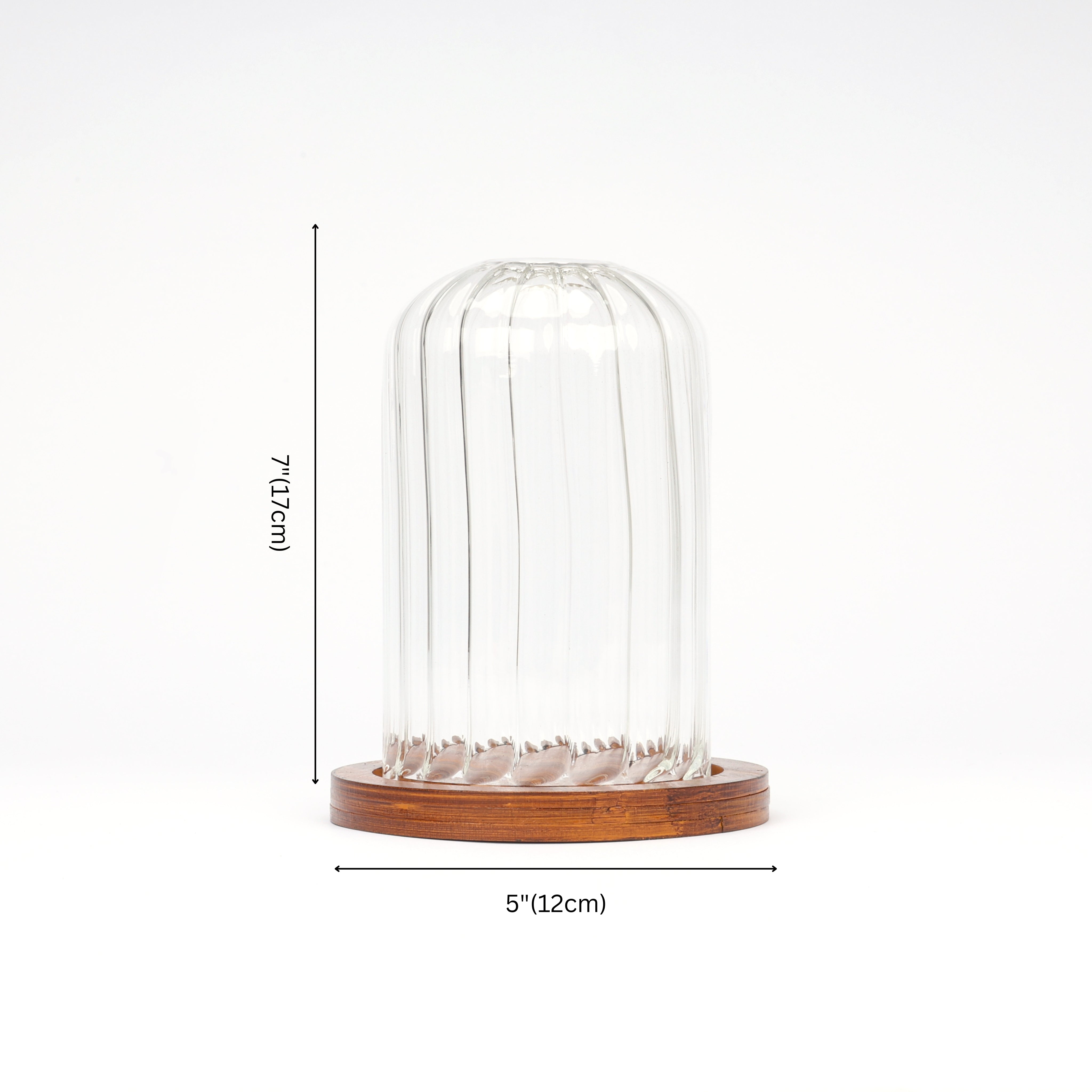 Decorative Glass Dome with Wooden Base