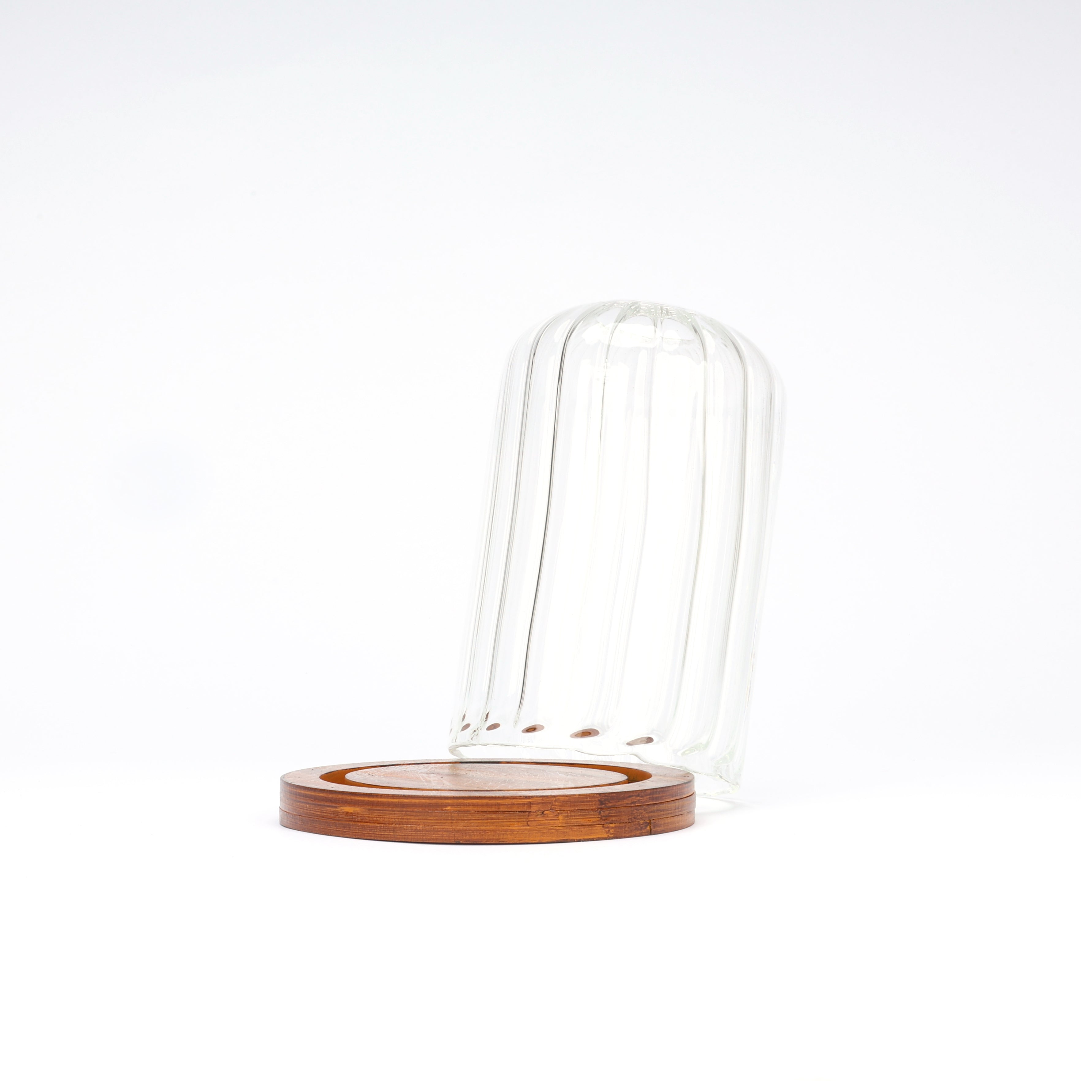 Decorative Glass Dome with Wooden Base