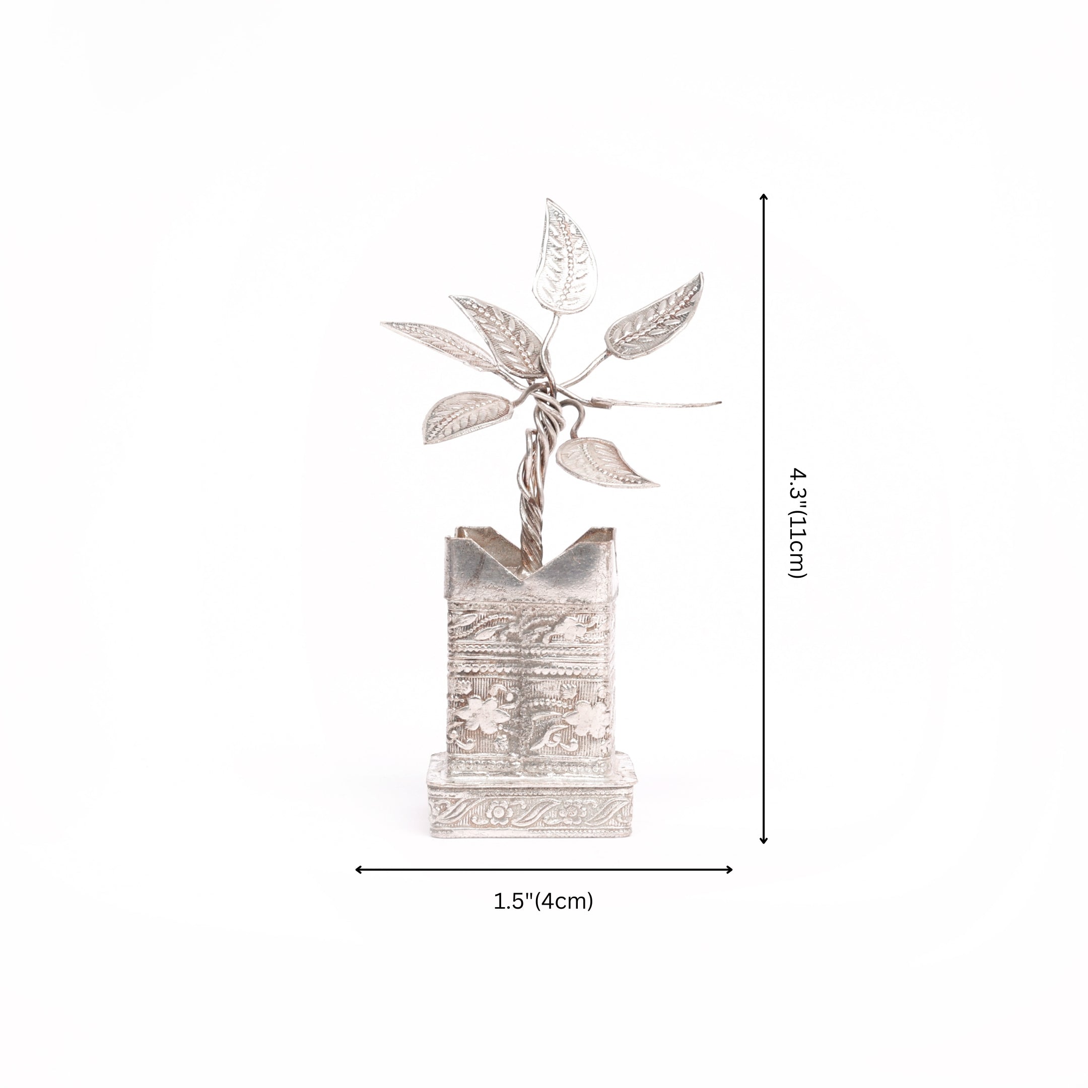 German Silver Tulsi Plant