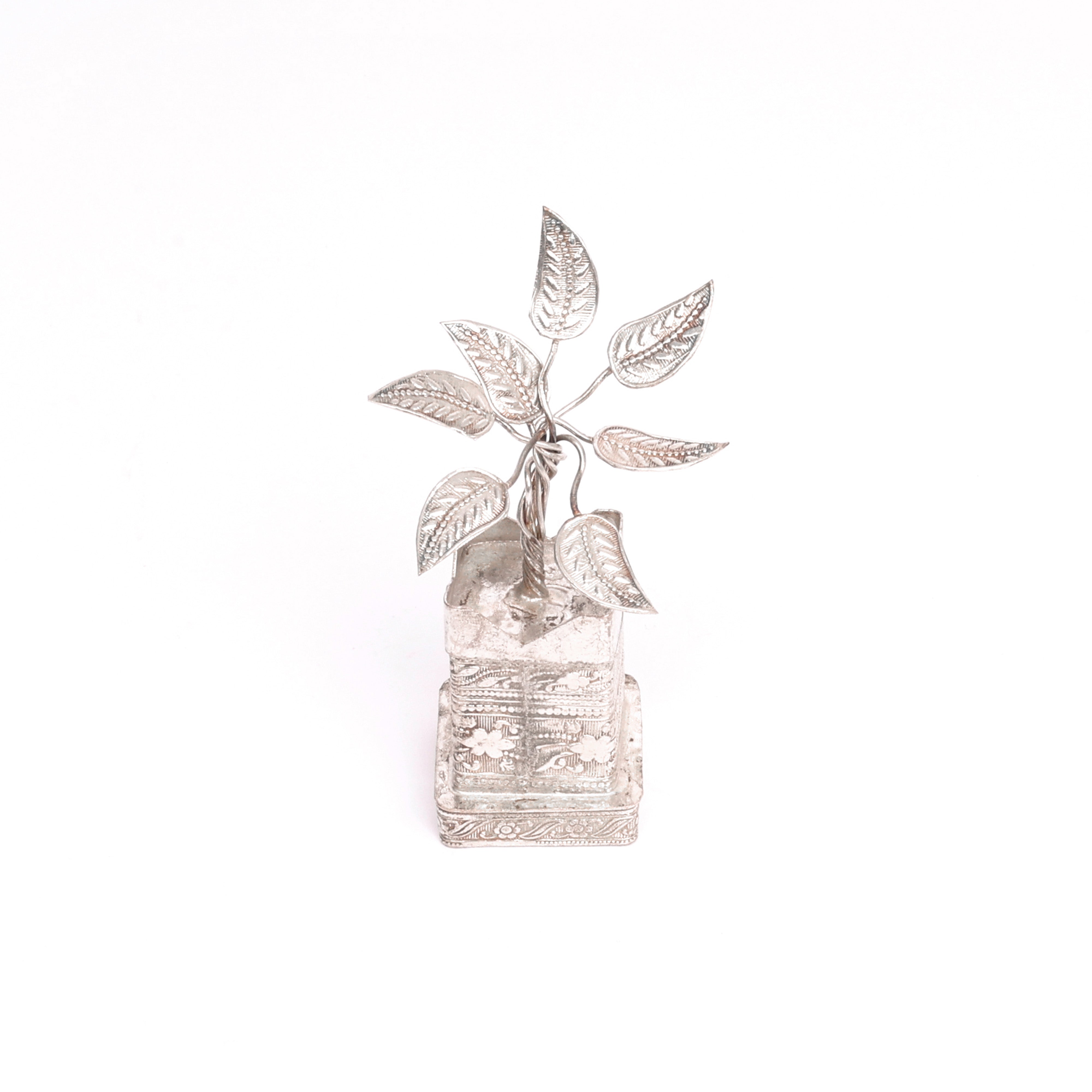 German Silver Tulsi Plant