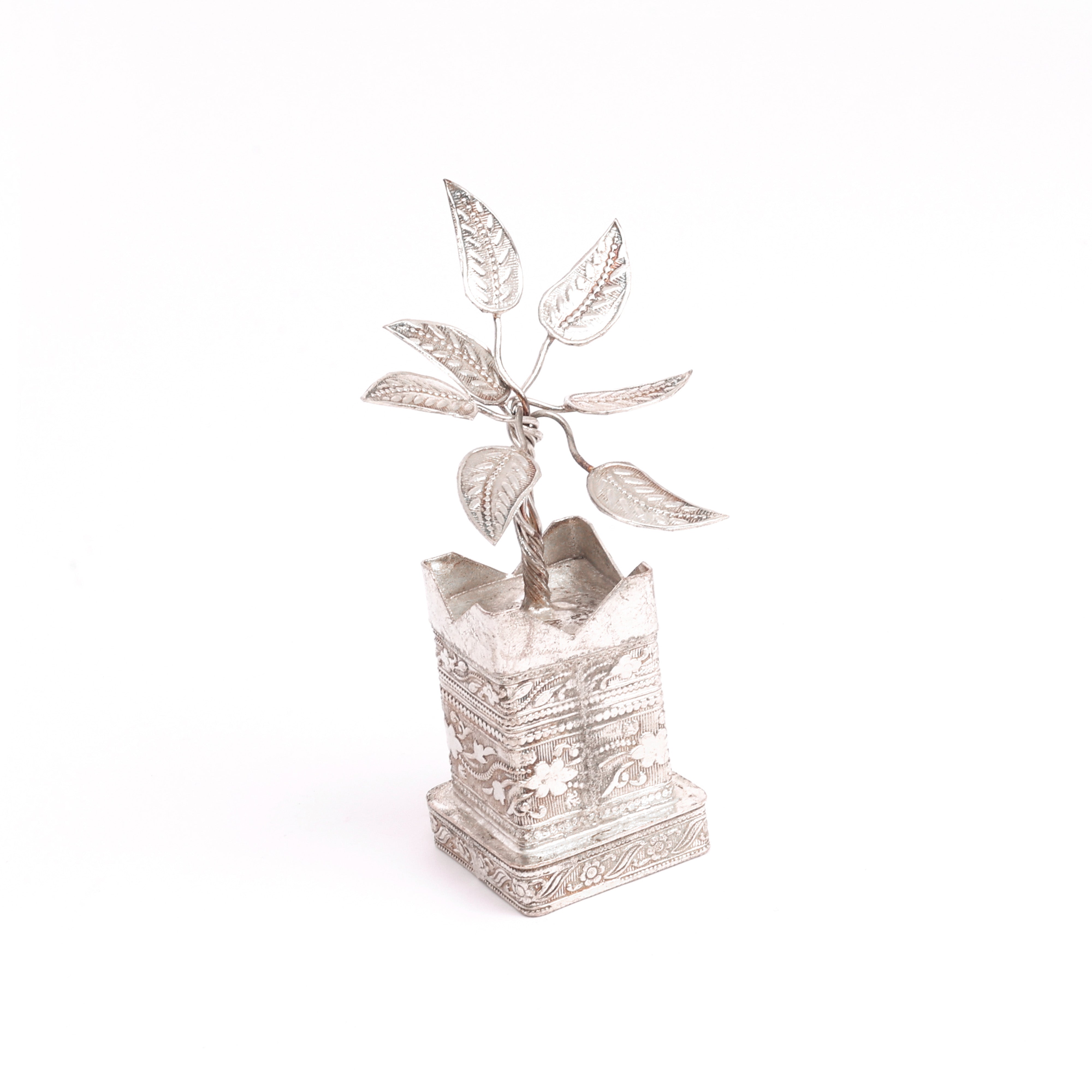 German Silver Tulsi Plant