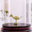Handcrafted Dhokra Art Bird Figurine – Brass Tribal Home Décor Accent