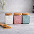 Mini Ceramic Jar with wooden Lid (Set of 3)