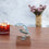 Natriel Artistic Bird Showpiece 452