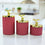 Natriel Glass Containers with Lid