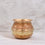 Natriel Kashmiri Copper Donga
