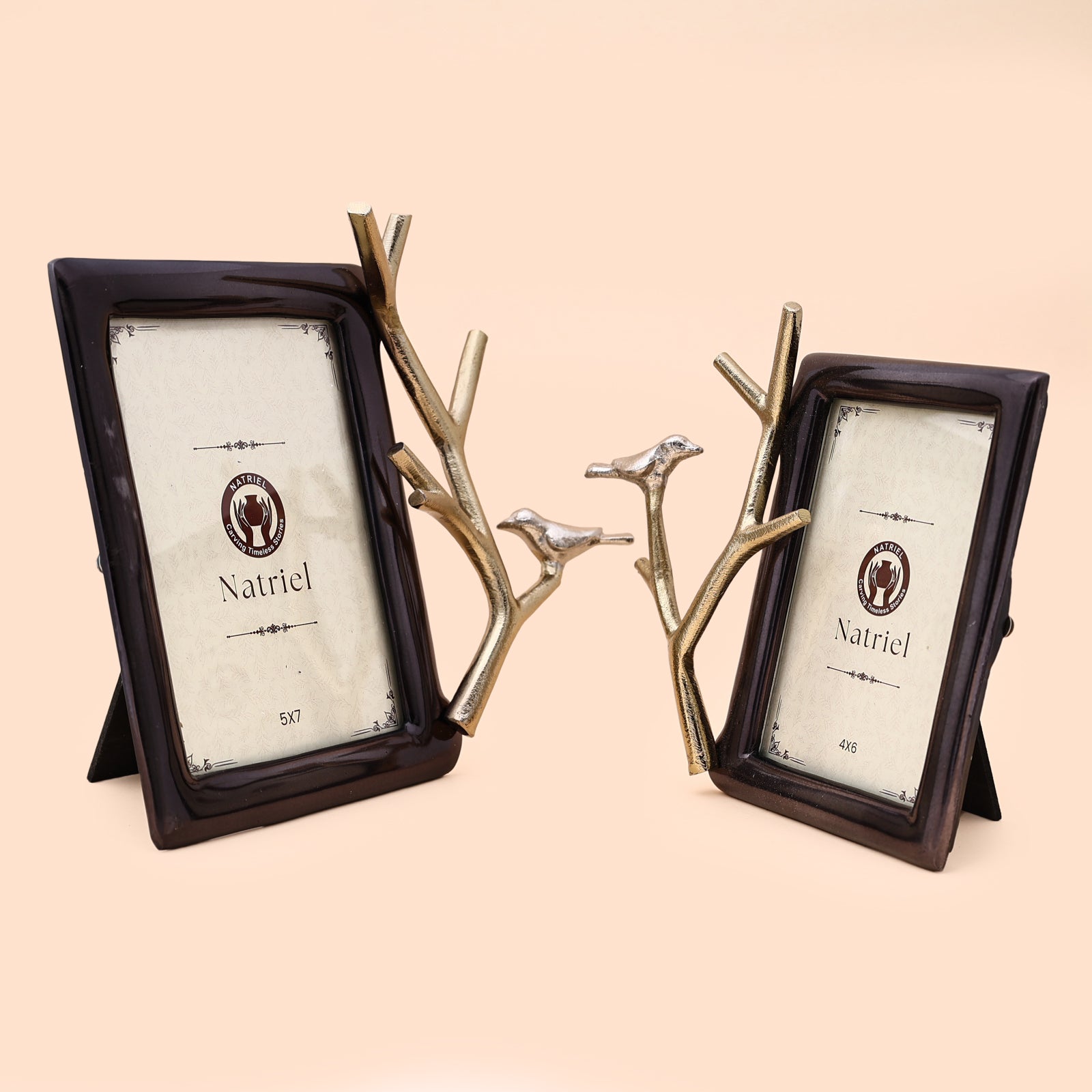 Silver Bird Aluminium photo frame (Set of 2)