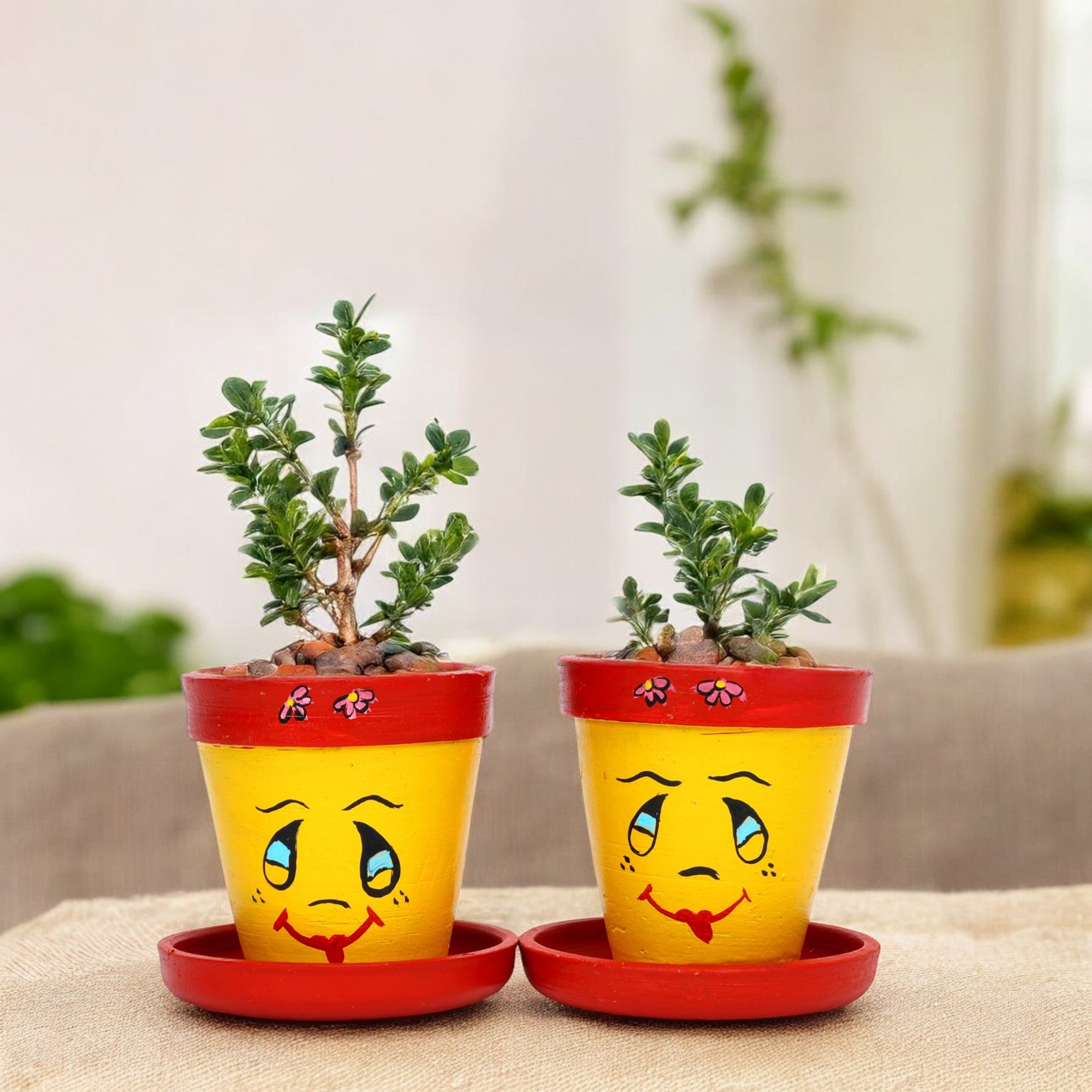 Yellow and Red Handcrafted Terracotta Planters - Set of 2 - Funky Hand Painting